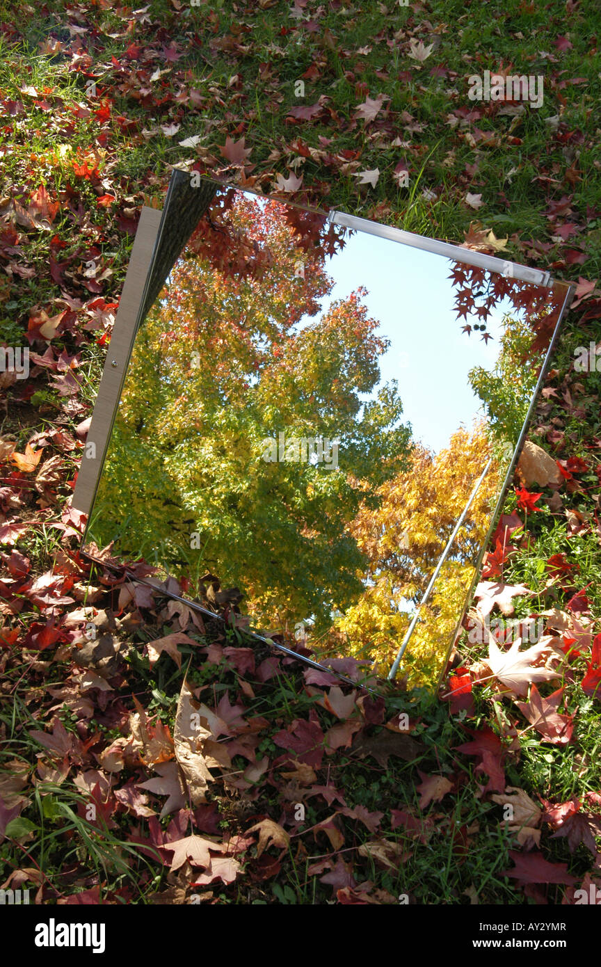 L'automne sur le miroir - Udine Frioul Parco del Cormor Italie Banque D'Images