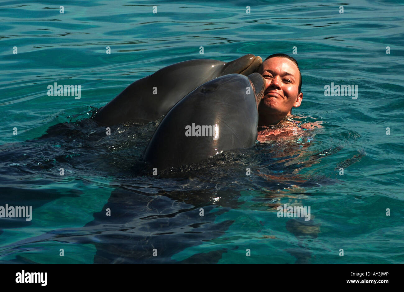 Antilles Néerlandaises Curaçao nager avec les dauphins à Dolphin academy Banque D'Images