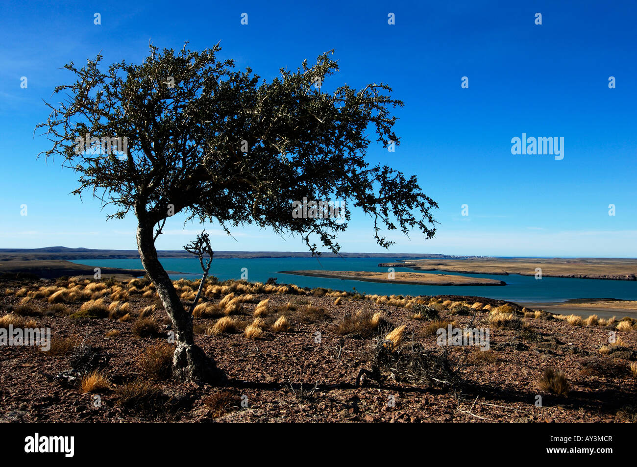 Argentine Patagonie Puerto Deseado landscape Banque D'Images