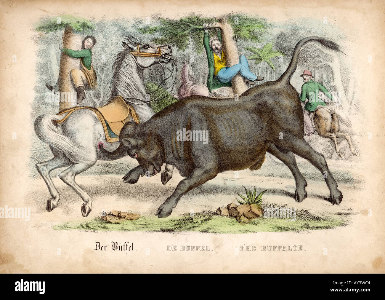 Bufalo et chasseurs C1845 Banque D'Images