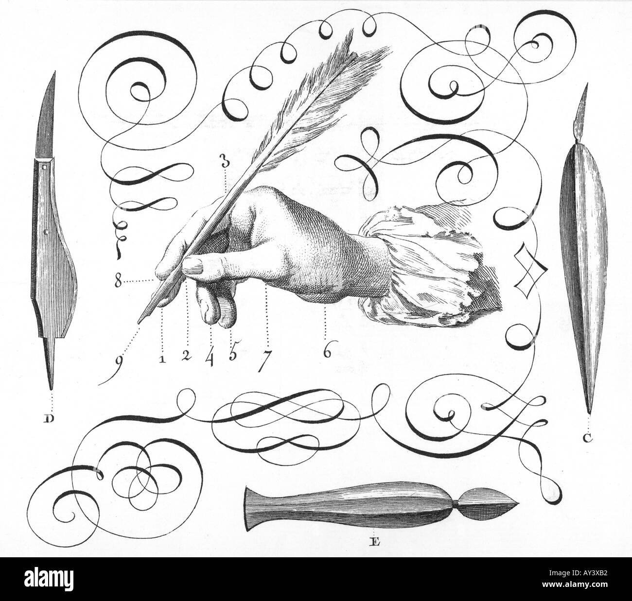 Diderot Plume Banque D'Images