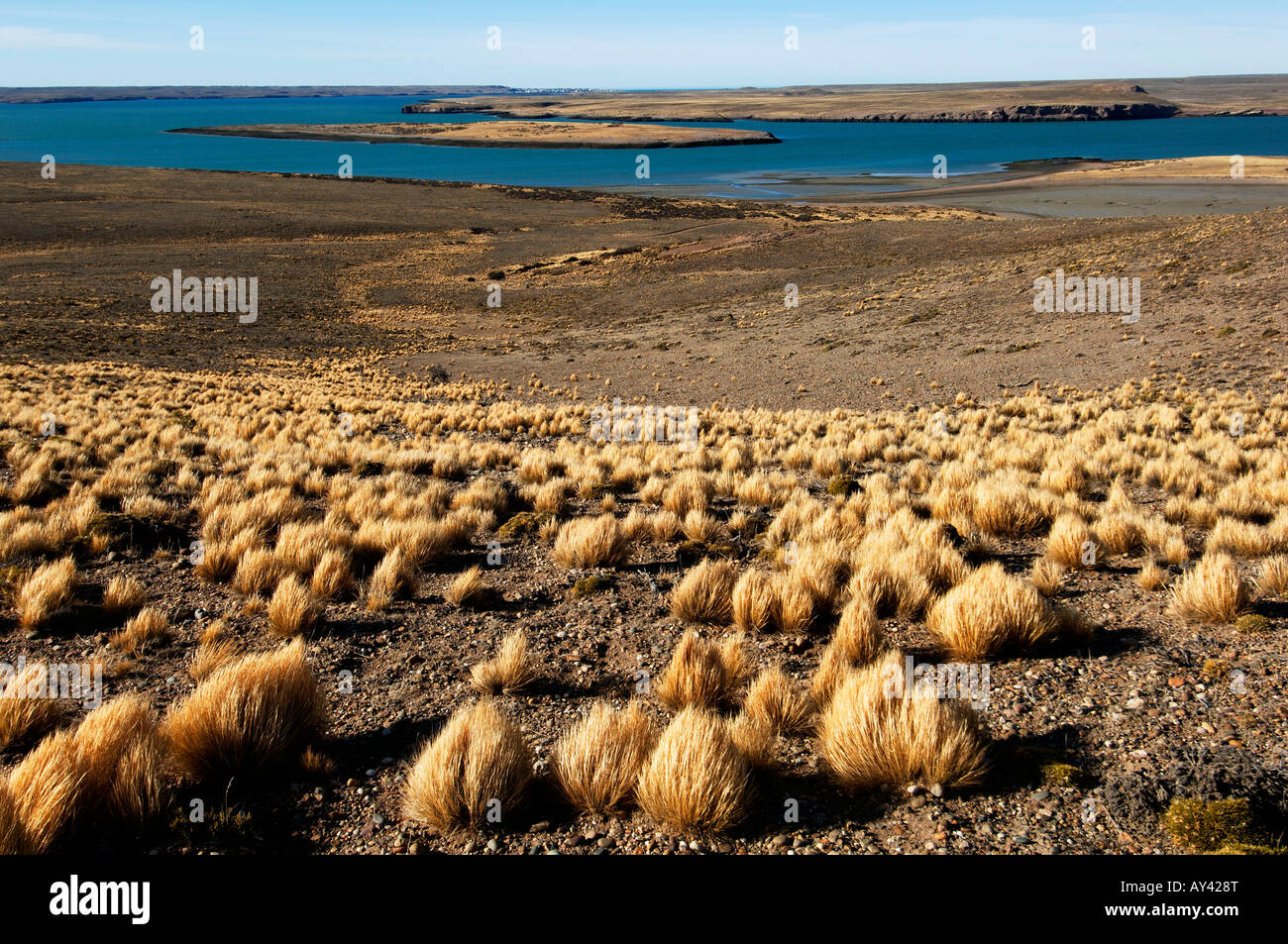 Argentine Patagonie Puerto Deseado landscape Banque D'Images