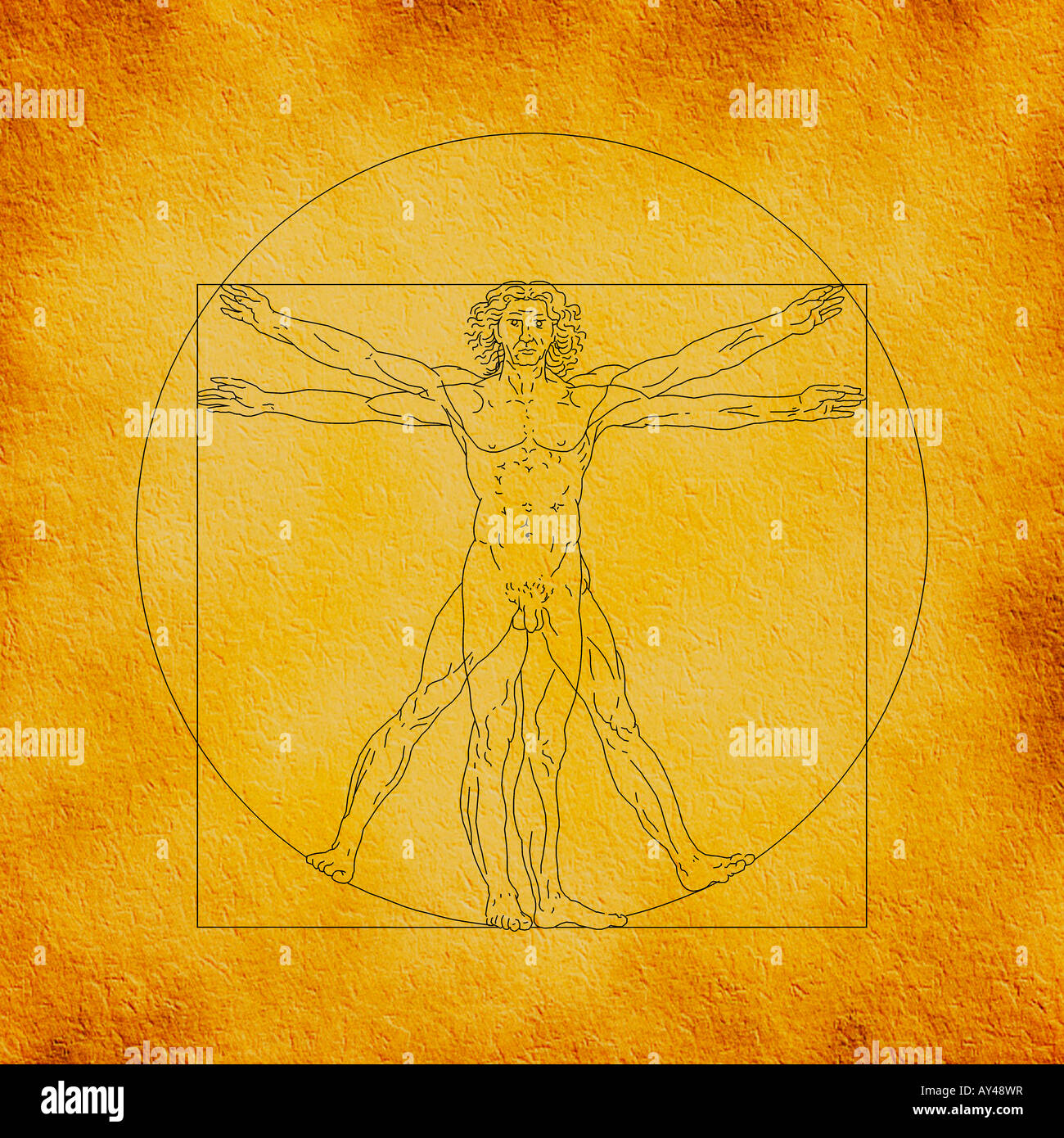 1490 Homme de Vitruve par Leonardo da Vinci 1452-1519 plume et encre Banque D'Images