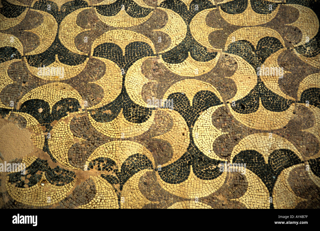 Sol en mosaïque romaine, Nea Paphos, Chypre Banque D'Images