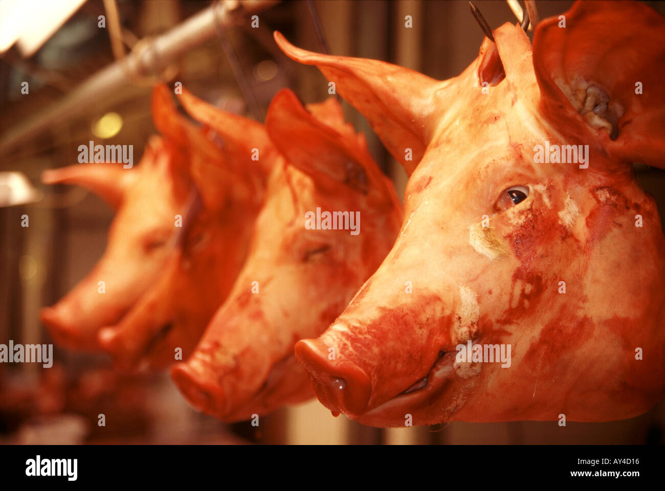 La photographie de voyage à partir de la Grèce, Athènes, les rues de Monastiraki et la place Syntagma, dans le sud de l'Europe Banque D'Images