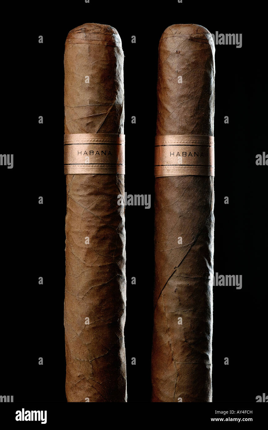 Une paire de cigares cubains sur fond sombre Banque D'Images
