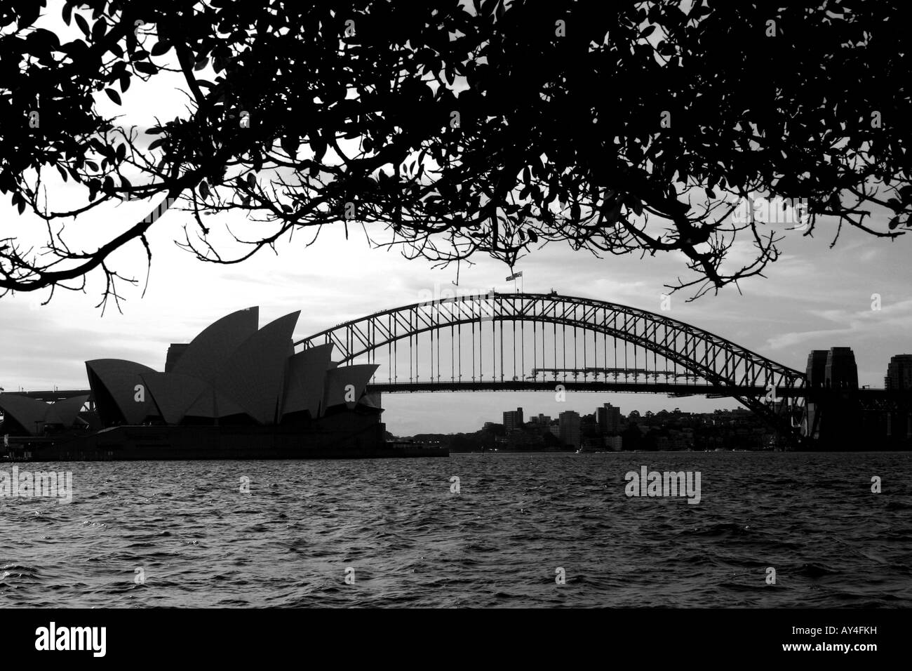 Voir l'opéra de Sydney et le pont du domaine/Royal Botanic Gardens/ Mme Nacquarie's chair Banque D'Images