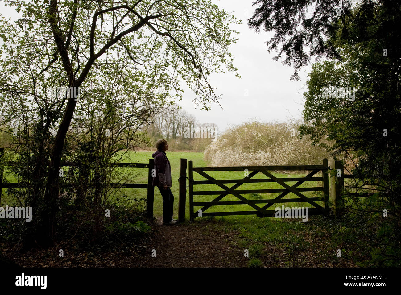 Une femme ayant un walker reste par un chemin de campagne en face d'un champ près de Denham Buckinghamshire UK village Banque D'Images