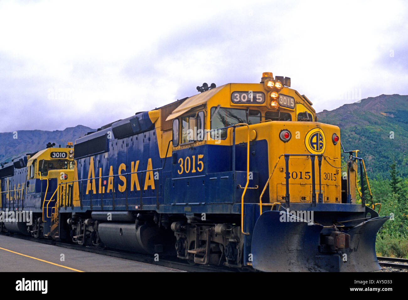 Alaska Railroad historique Parc national de Denali en Alaska Banque D'Images