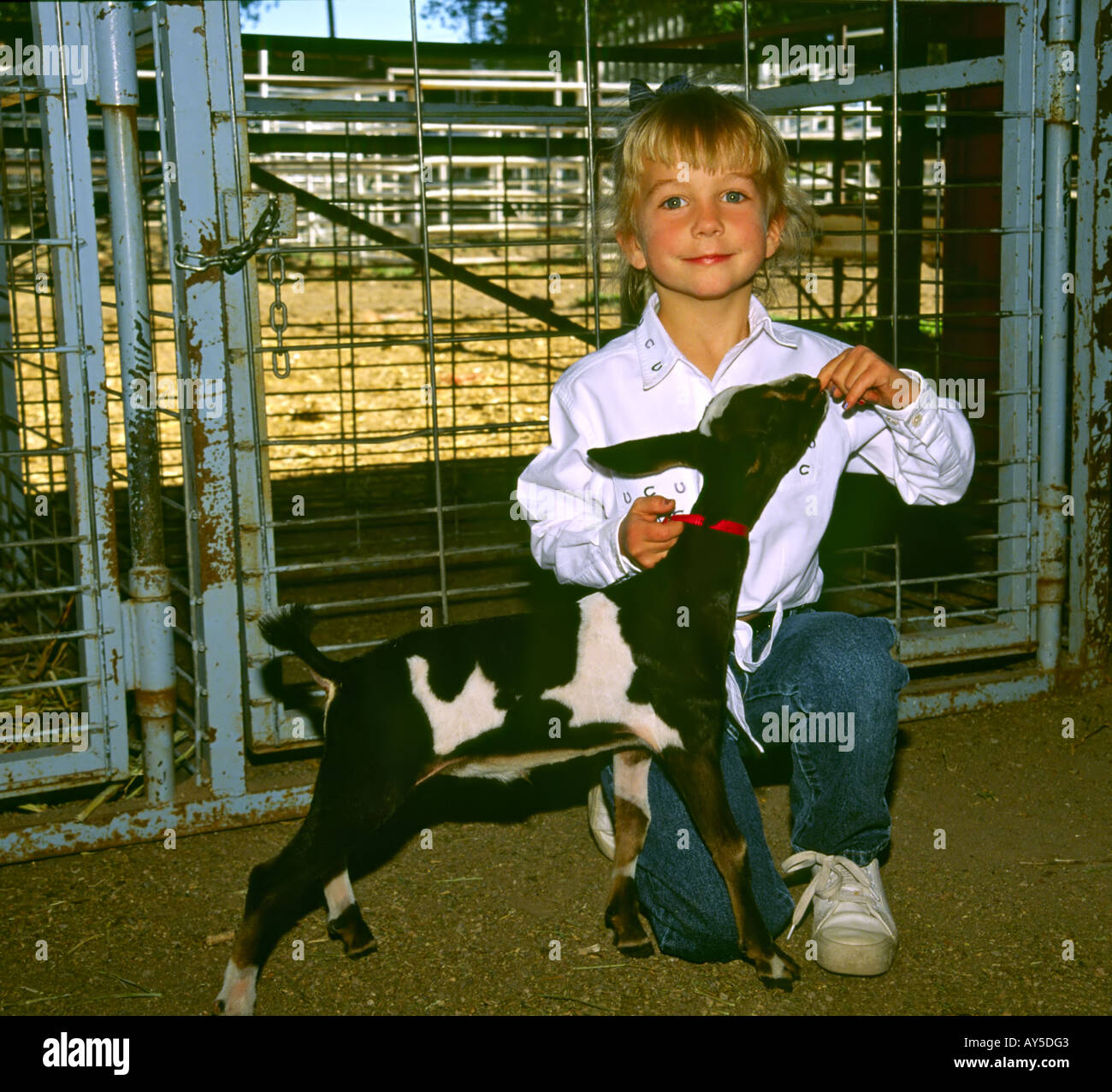 Mr 0342 Christian Sueur Met Son Bebe Prix Chevre Sur Ecran Lors De L Assemblee Capitan 4 H Show De Chevre A Capitan Nouveau Mexique Photo Stock Alamy Mr 0342 Christian Sueur Met Son Bebe Prix Chevre Sur Ecran Lors De L Assemblee Capitan 4 H Show De Chevre A Capitan Nouveau Mexique Photo Stock Alamy