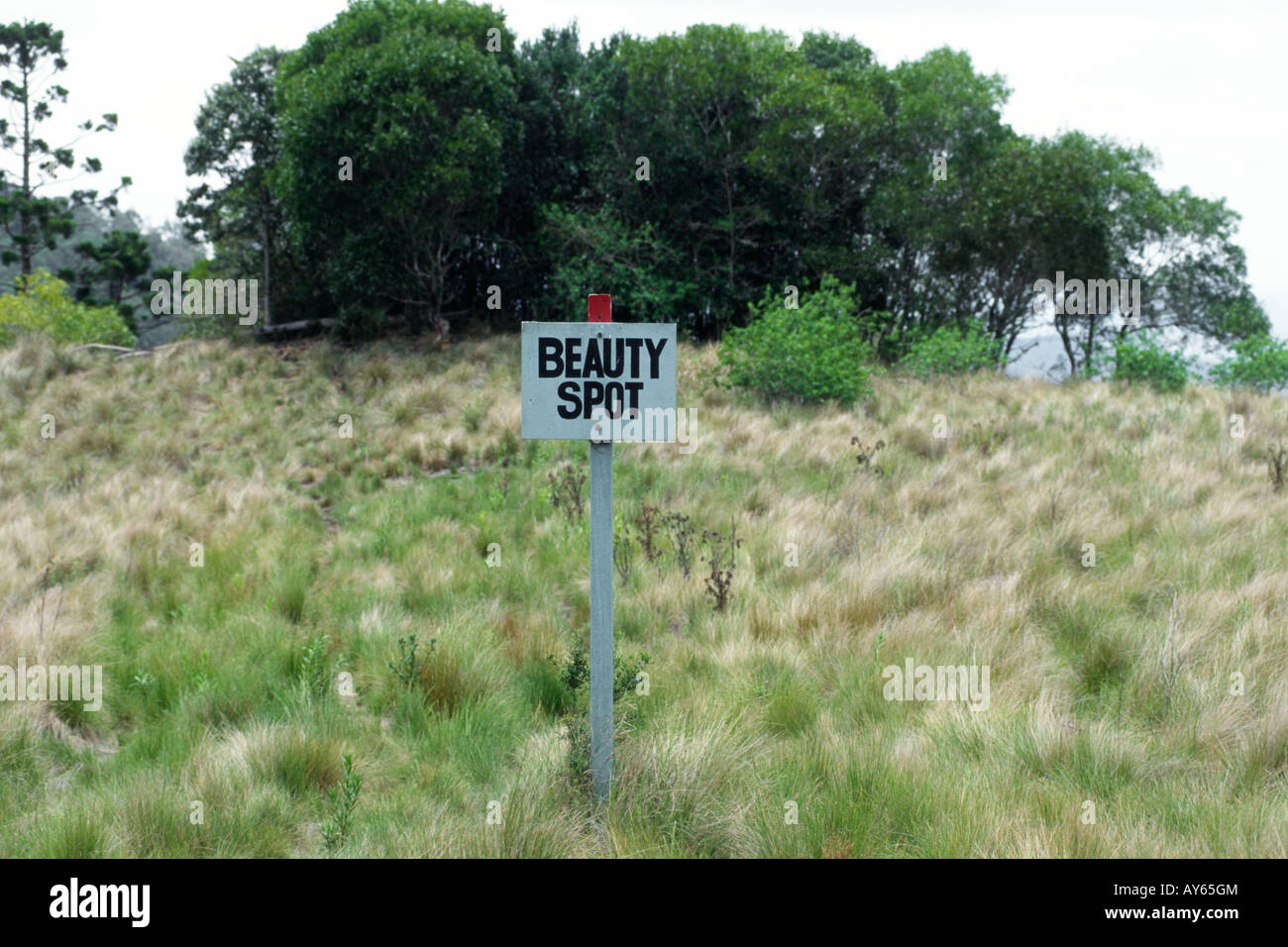 1097 Australie Queensland Beauty Spot signe Photo c Simon Grosset Banque D'Images