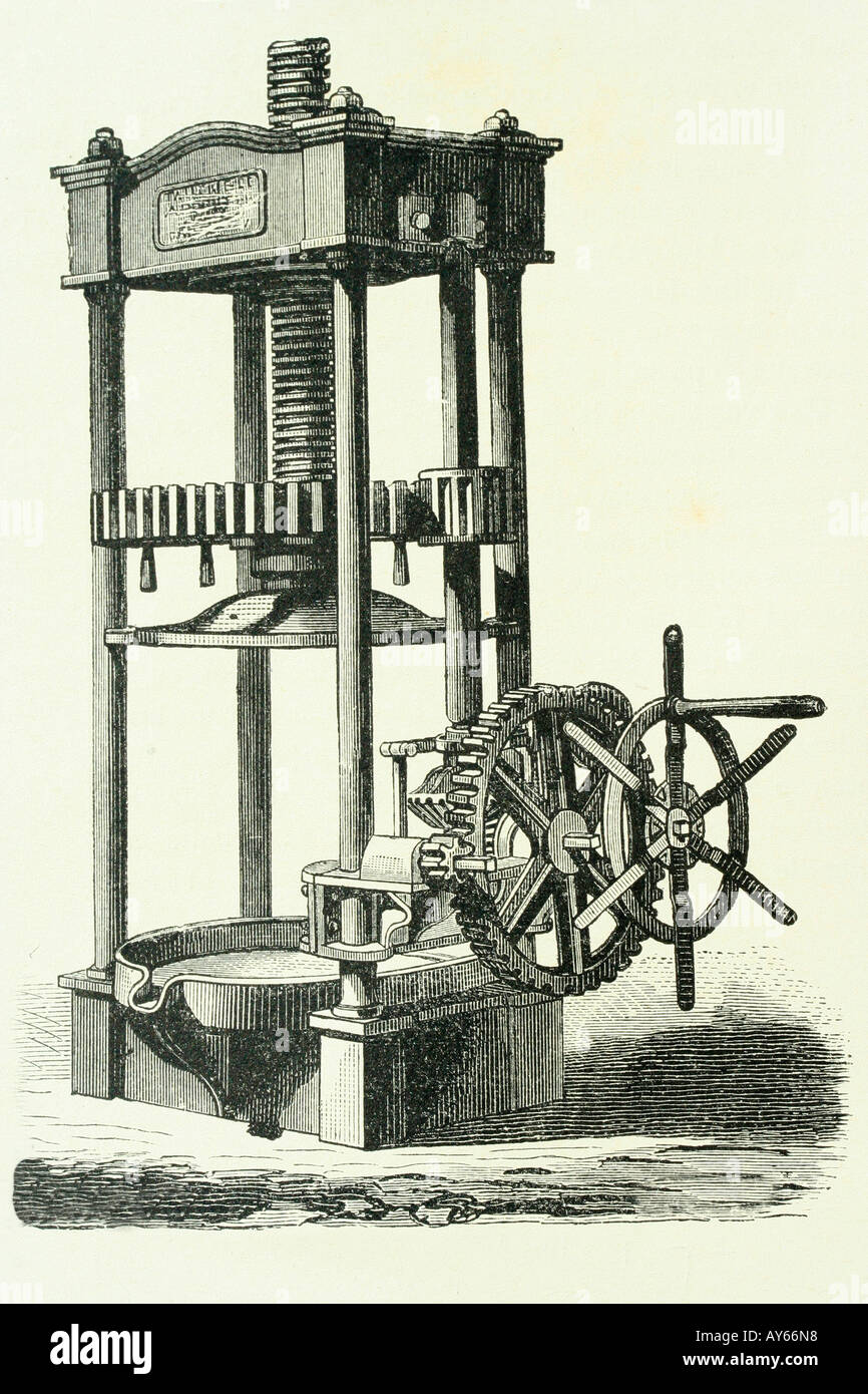 Appuyez sur pour l'huile d'olive. Illustration d'antiquités. 1889. Banque D'Images