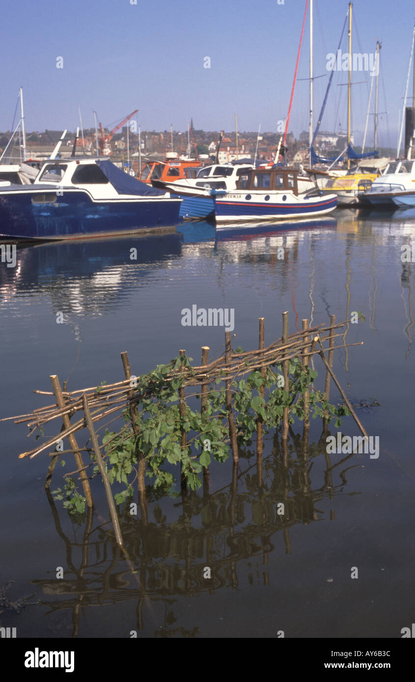 Whitby Penny Hedge ou Penance Hedge Yorkshire événement annuel le Matin de l'Ascension Eve 1990 Royaume-Uni HOMER SYKES Banque D'Images