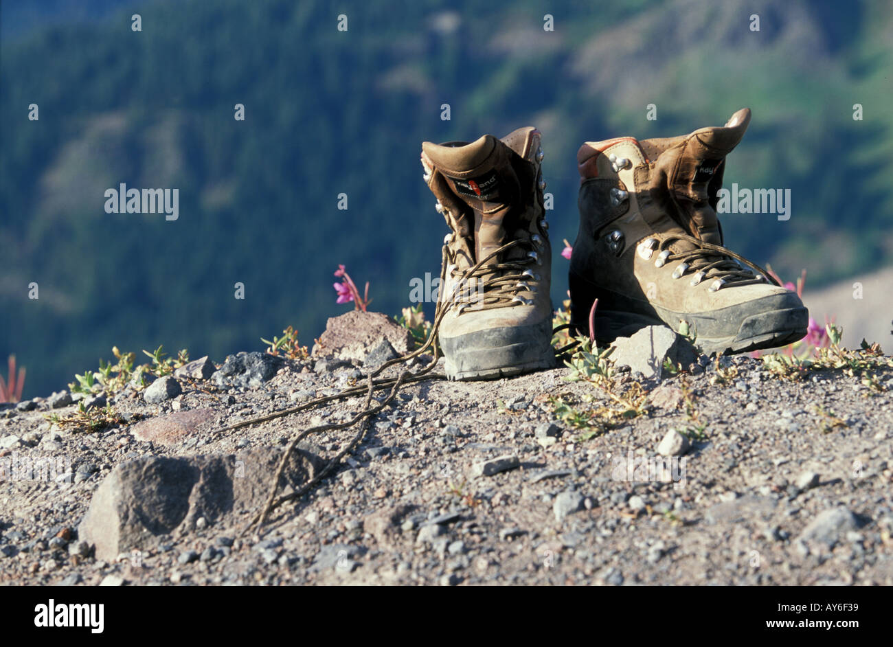 Une paire de bottes sécher sur le sommet d'une montagne dans le chaud soleil d'été Banque D'Images