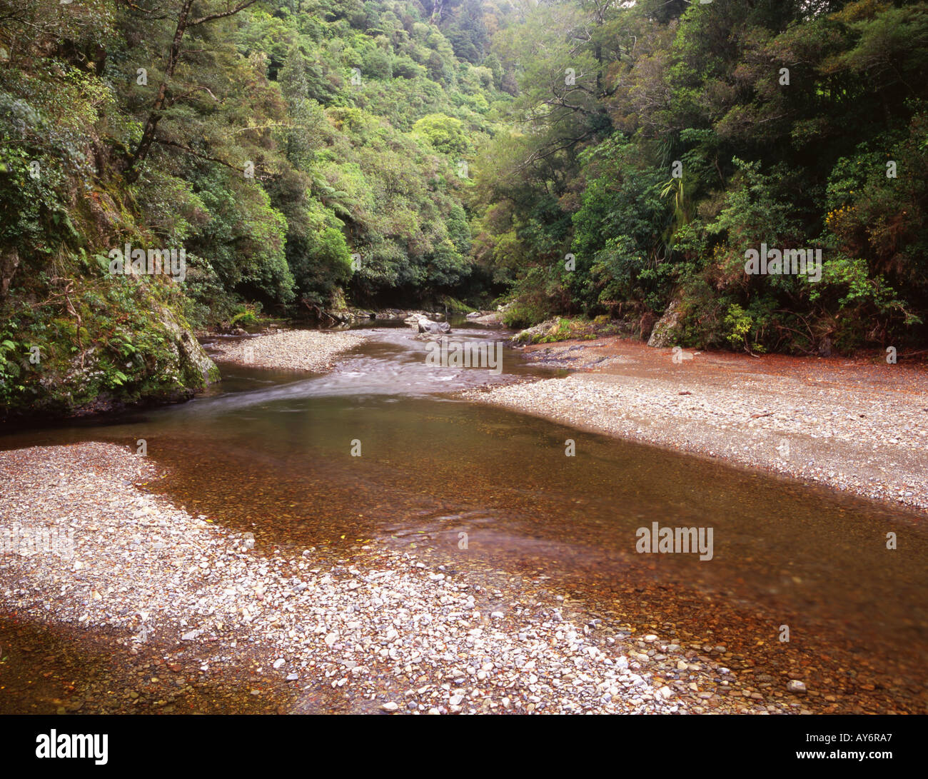 Le Pakuratahi River dans le Parc Régional Kaitoke Île du Nord Nouvelle-zélande Banque D'Images