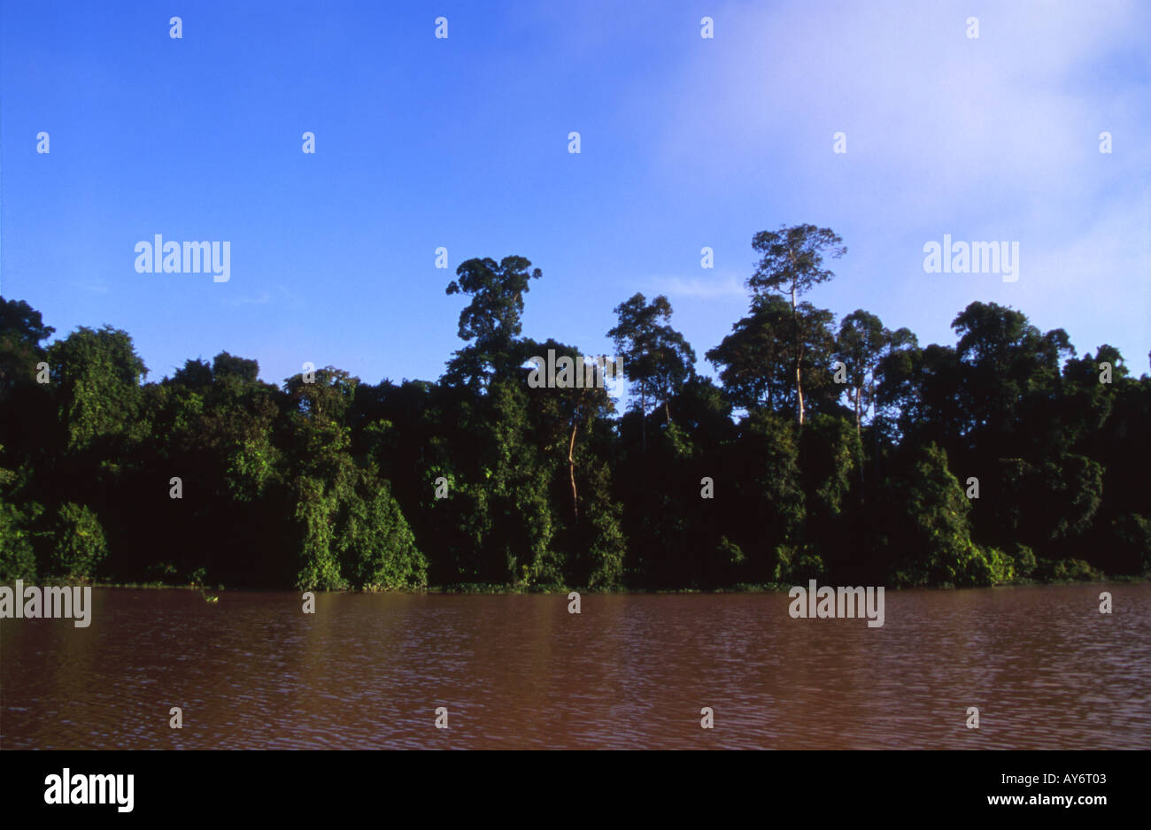 Oxbow Lake sur la rivière Kinabatangan Bornéo Malaisie Banque D'Images