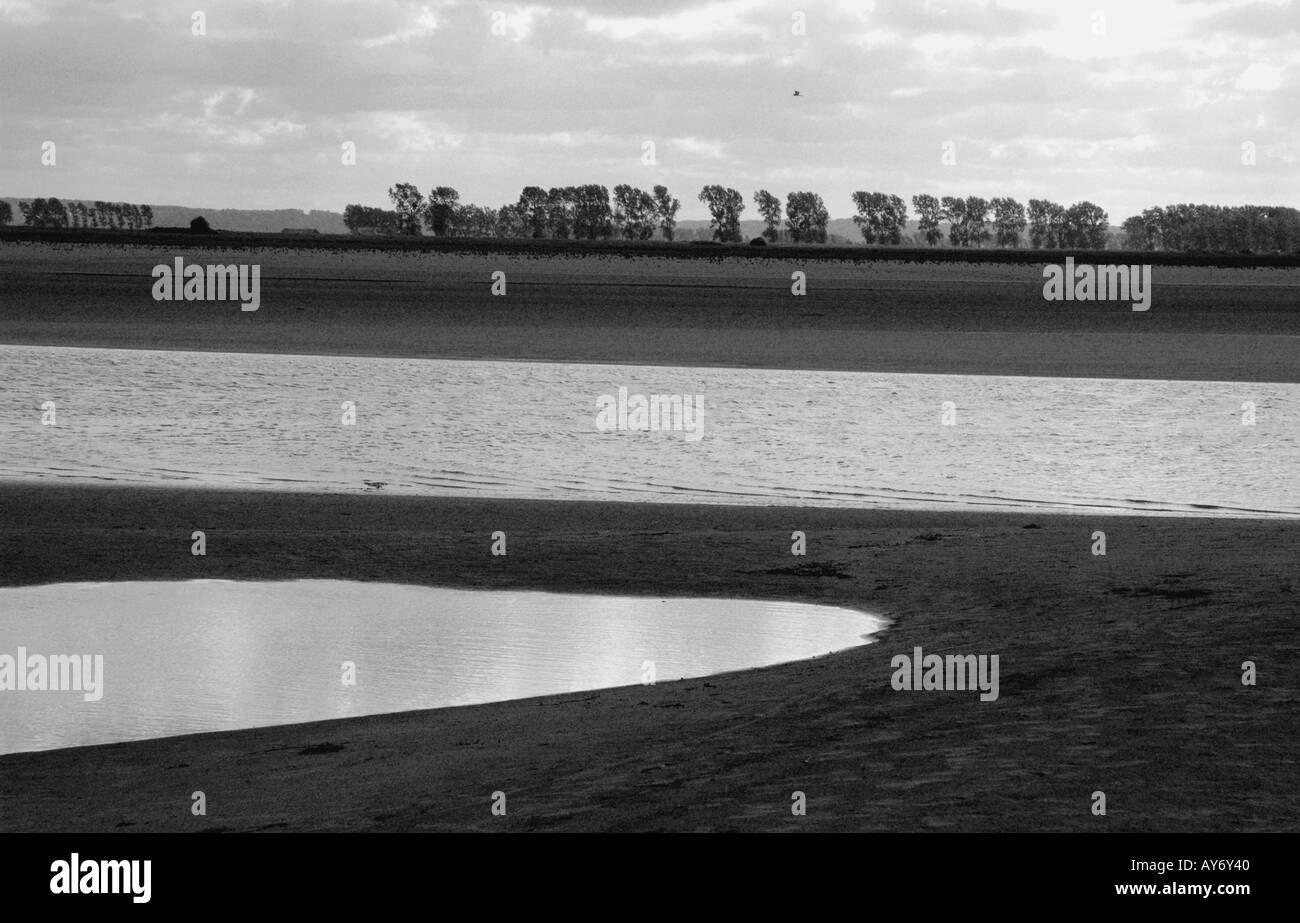 Vue sur le Mont Saint Michel à marée basse Normandie Manche La Manche North Western France Europe Banque D'Images