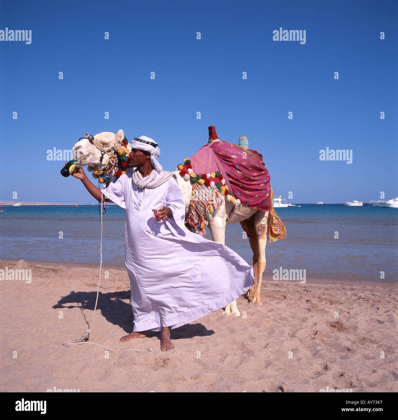 Chamelier avec camel sur plage, Hurghada, République de l'Égypte Banque D'Images
