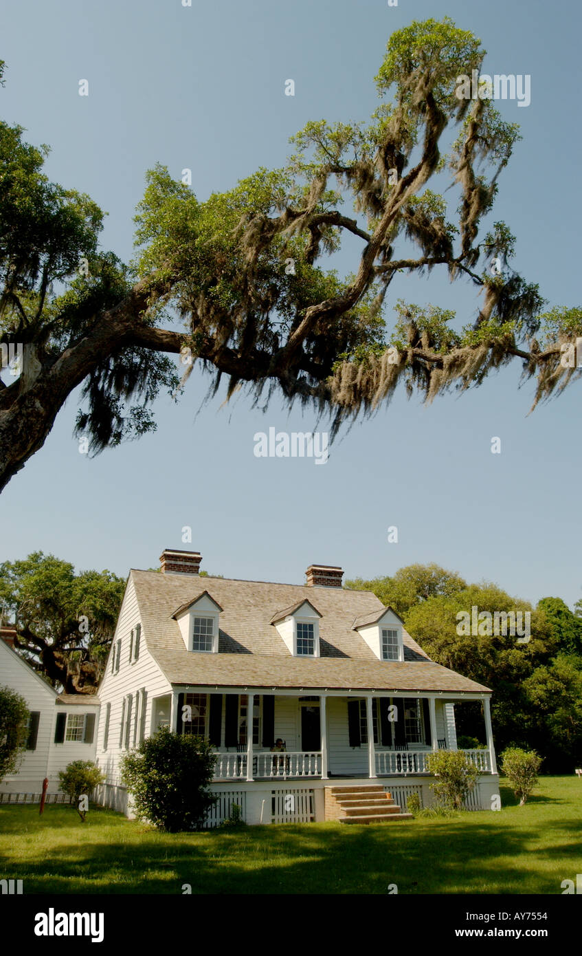 Image couleur vertical de Charles Pinckney National Historic Site dans la Caroline du Sud de lowcountry près de Charleston Banque D'Images