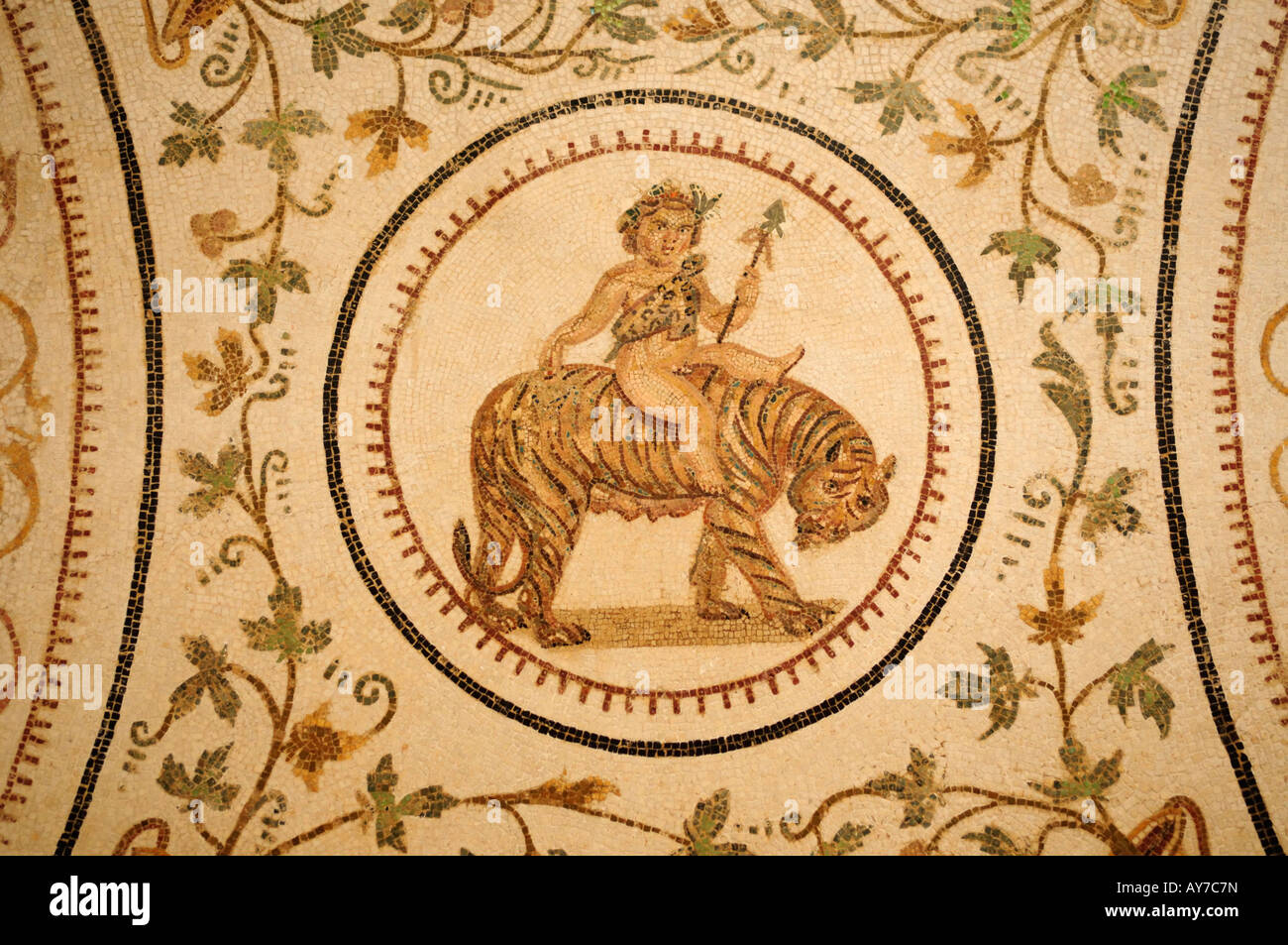 Mosaïque de Dionysos enfant équitation un tigre, Musée archéologique, El Jem, Tunisie Banque D'Images