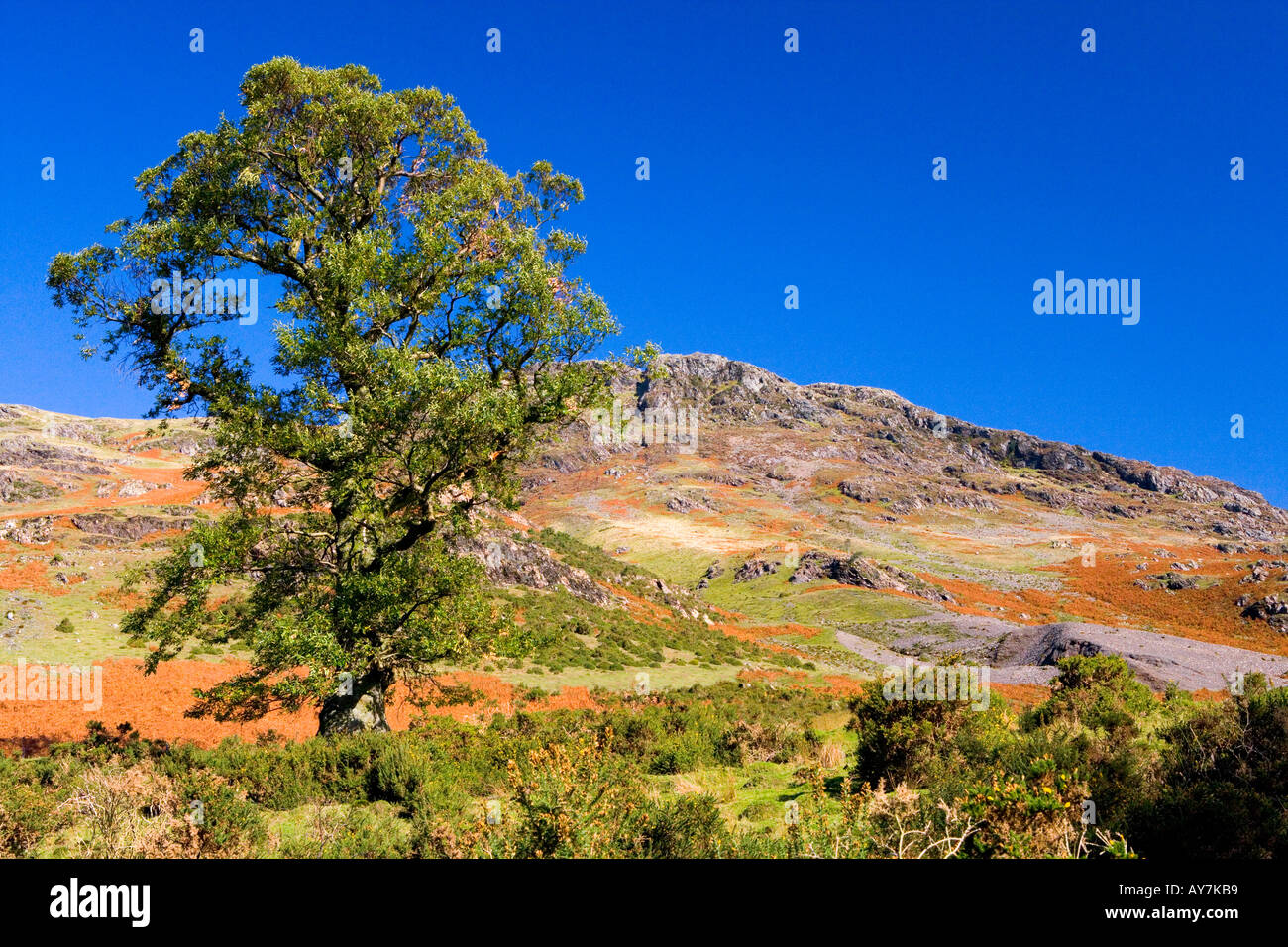 Buttermere, Lake District, Cumbria Banque D'Images