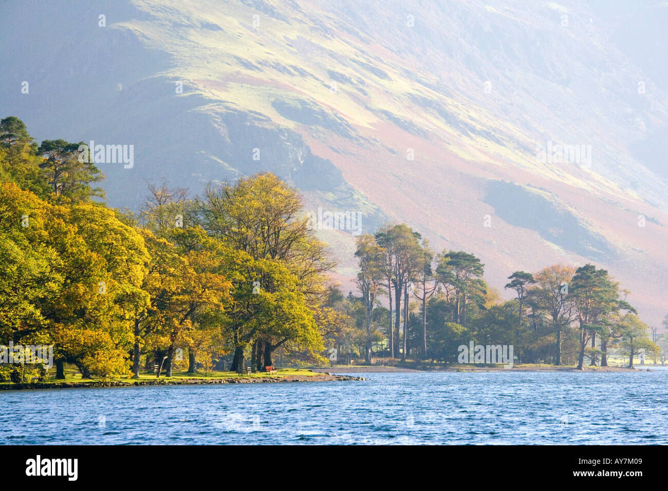 Buttermere, Lake District, Cumbria à bois et Fleetwith vers Crag Pike Banque D'Images