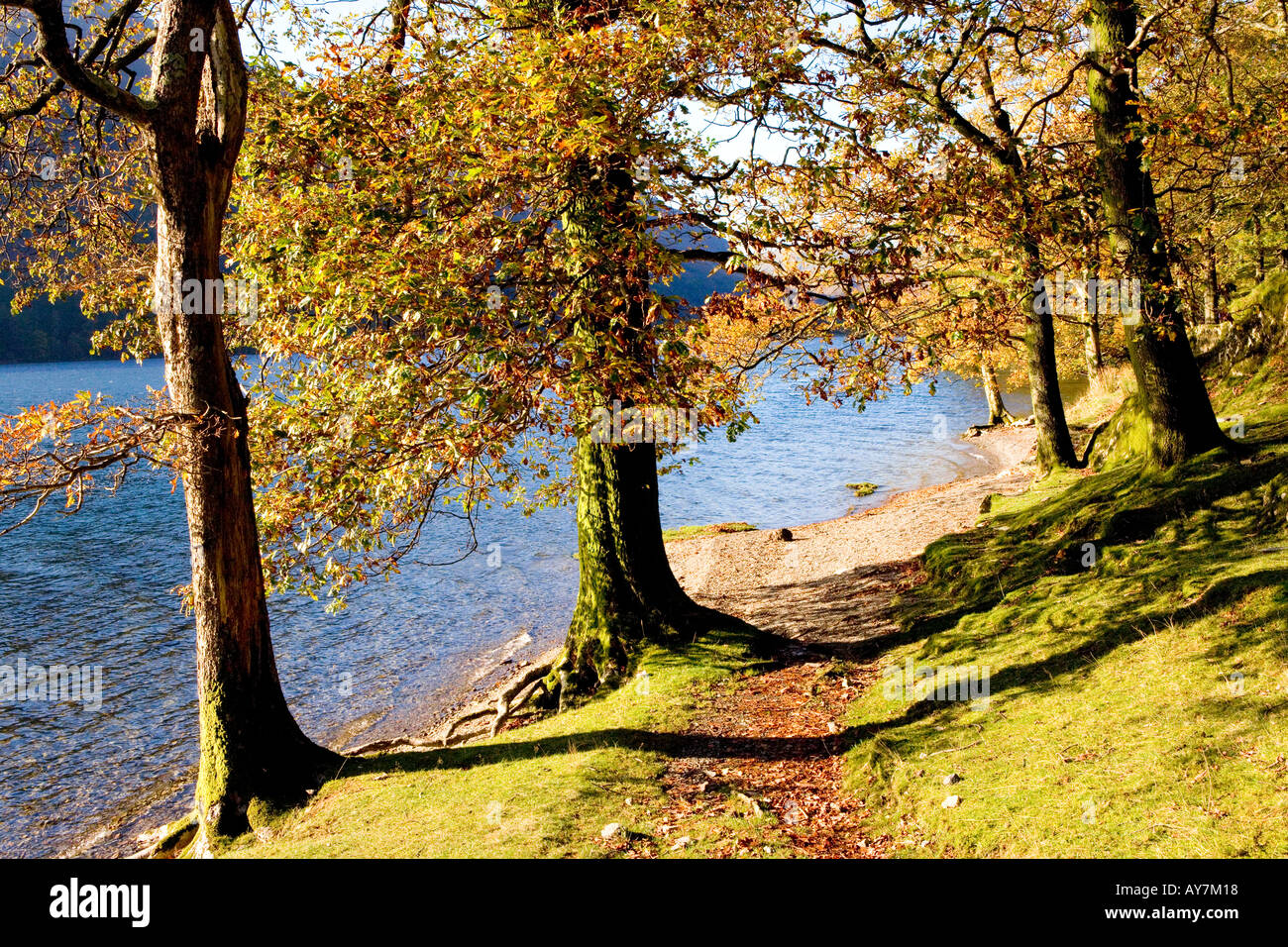 Buttermere, Lake District, Cumbria Banque D'Images