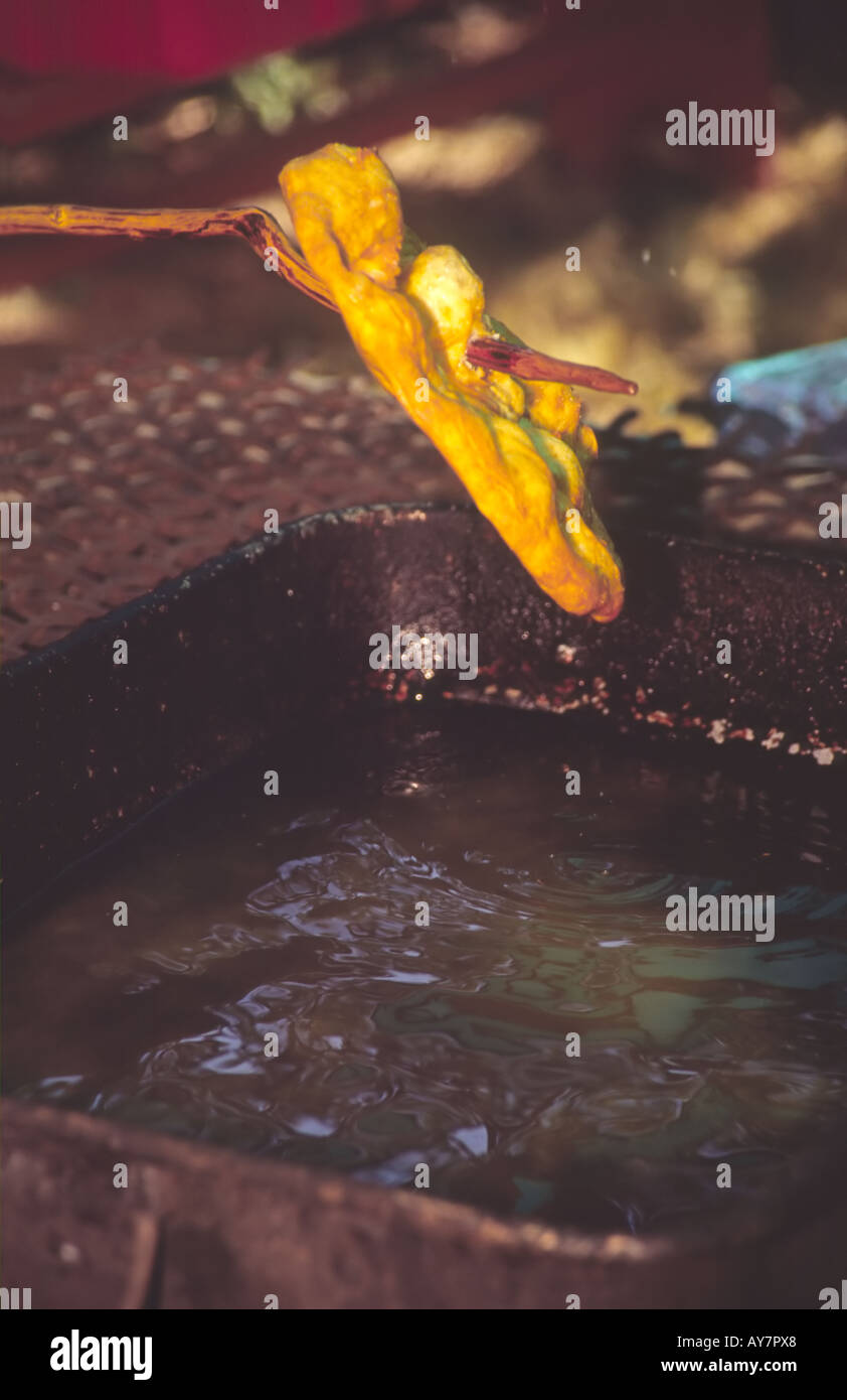 Les disques de pâte sucrée, est tombé dans l'huile chaude et cuite à brun doré, fait de pain indien fry Mescalero, dans le Nouveau Mexique. Banque D'Images