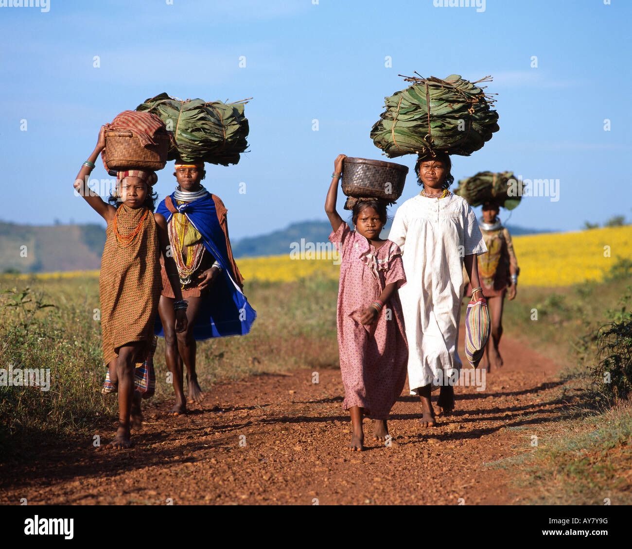 Bonda femmes tribales qui sera sur le marché, de l'Orissa, Inde Banque D'Images
