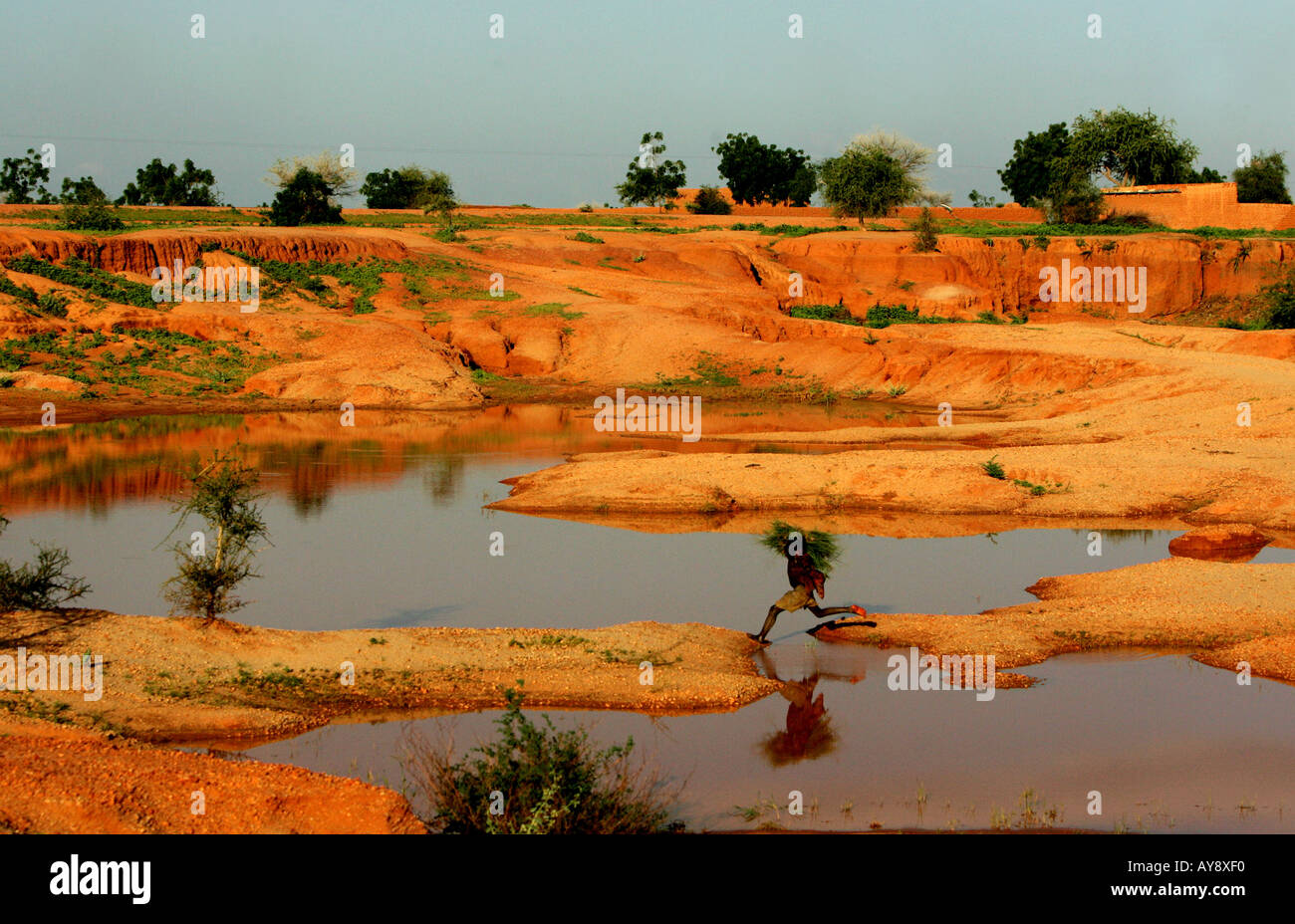 Un garçon transporte de l'HERBE À TRAVERS un lac asséché pour aider à nourrir sa famille, le bétail affamé, NIGER, Afrique de l'Ouest. Banque D'Images