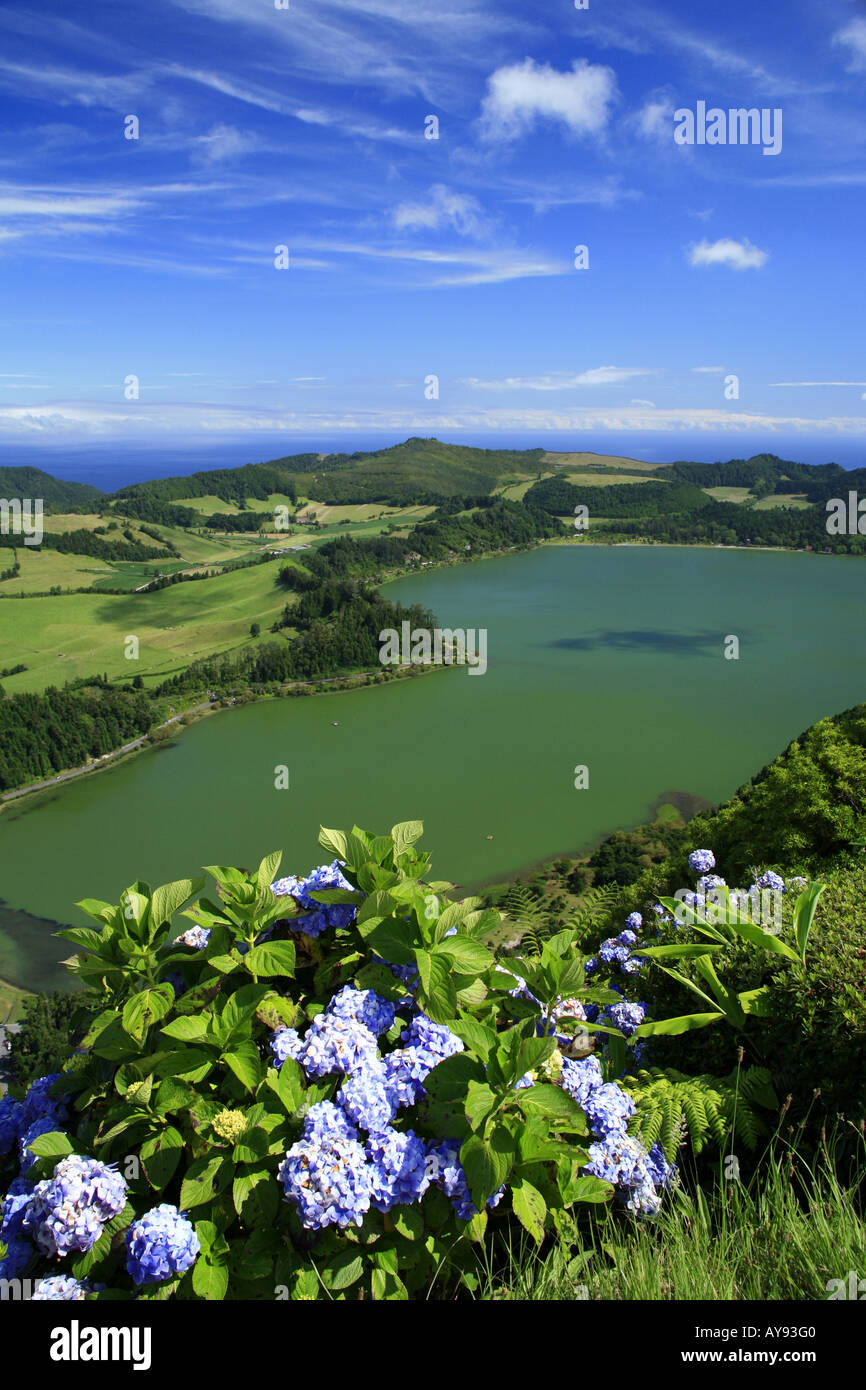 Furnas lake, avec hortensias sur l'avant-plan. L'île de São Miguel, Açores, Portugal. Banque D'Images