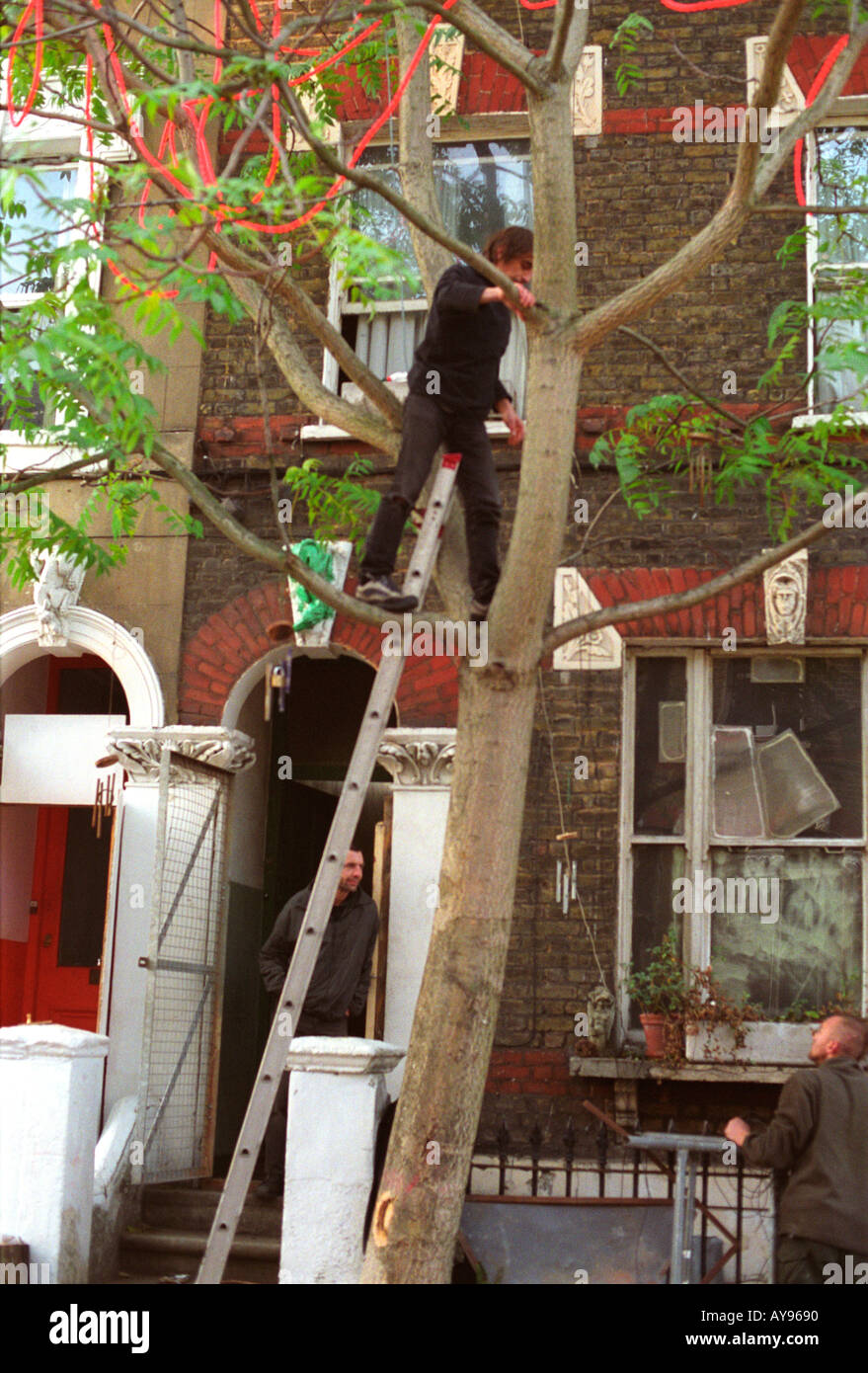 Lumière de fixation sur l'arbre à l'extérieur de squat à Saint Agnes Place dans le sud de Londres, Kennington qui protestent contre l'expulsion imminente. Banque D'Images Lumière de fixation sur l'arbre à l'extérieur de squat à Saint Agnes Place dans le sud de Londres, Kennington qui protestent contre l'expulsion imminente. Banque D'Images