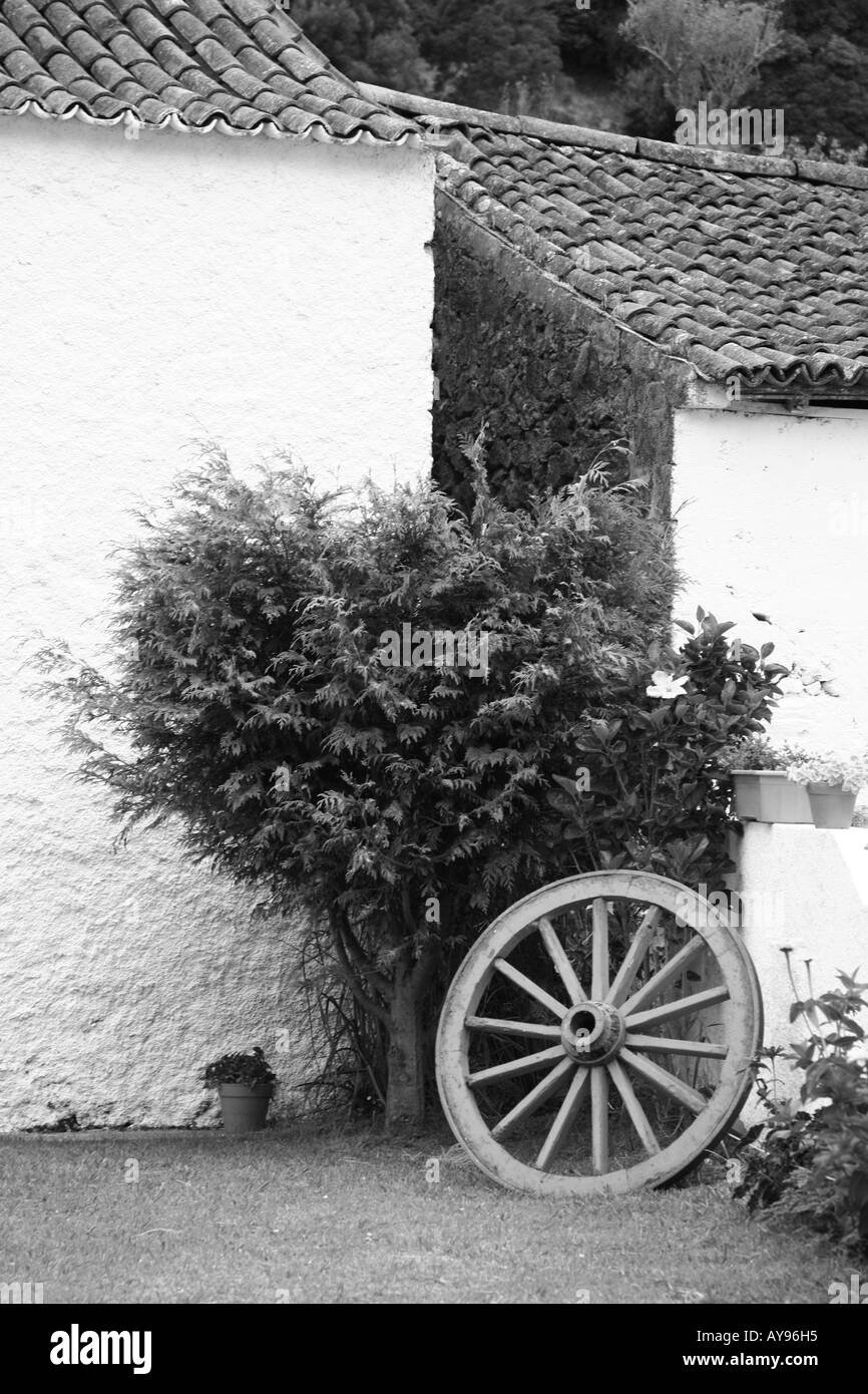 Panier roue dans un jardin. Banque D'Images