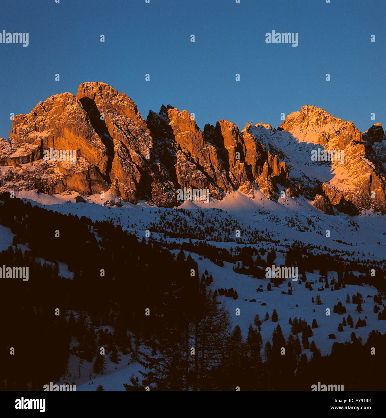 Montagnes ensoleillées et des bois au coucher du soleil, le Passo di Gardena, station de ski, Selva Val Gardena, Italie Banque D'Images