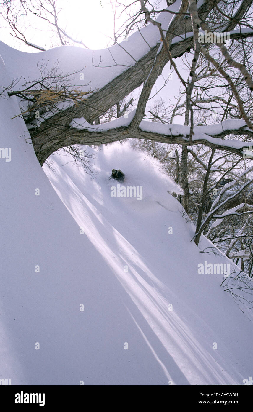 Station de ski de Niseko AU JAPON Banque D'Images