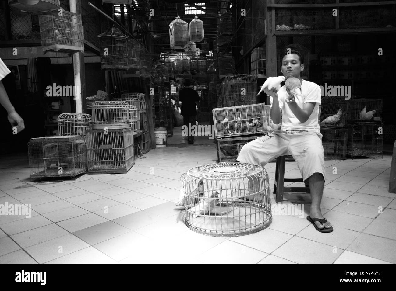 L'Indonésie Jakarta Man holding oiseaux de cage à l'intérieur de marché aux oiseaux Banque D'Images