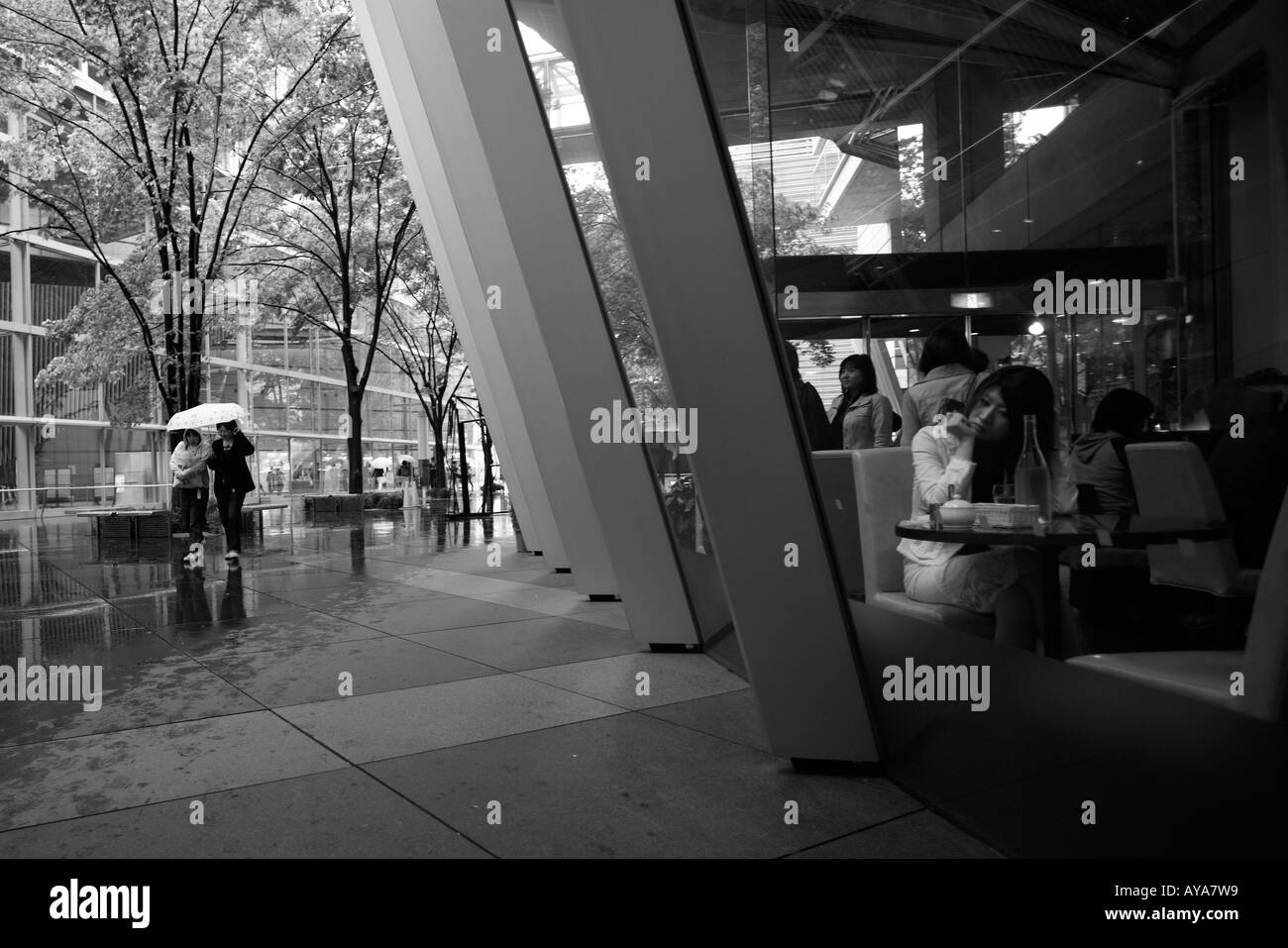 Asie Tokyo Japon arbres au printemps la pluie à l'extérieur de Tokyo International Forum Banque D'Images