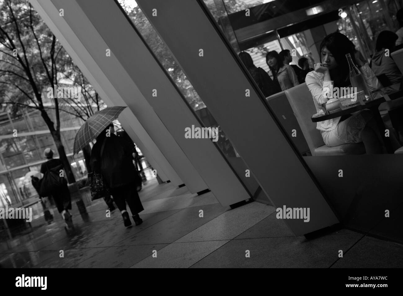Asie Tokyo Japon arbres au printemps la pluie à l'extérieur de Tokyo International Forum Banque D'Images