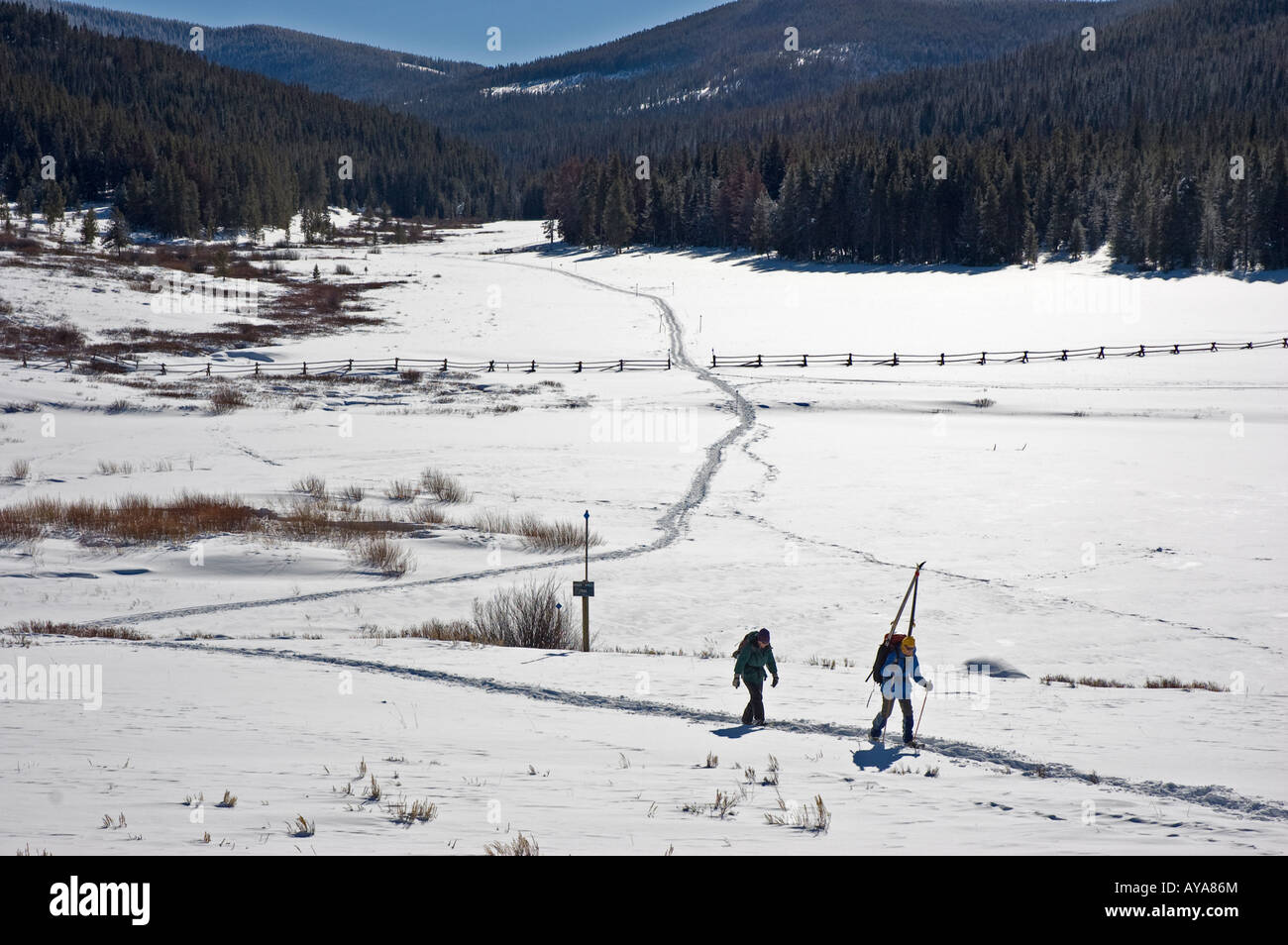 Le sentier de raquette Backpackers de Grass Creek, la yourte, jamais l'été nordique, Colorado State Forest, Gould, au Colorado. Banque D'Images