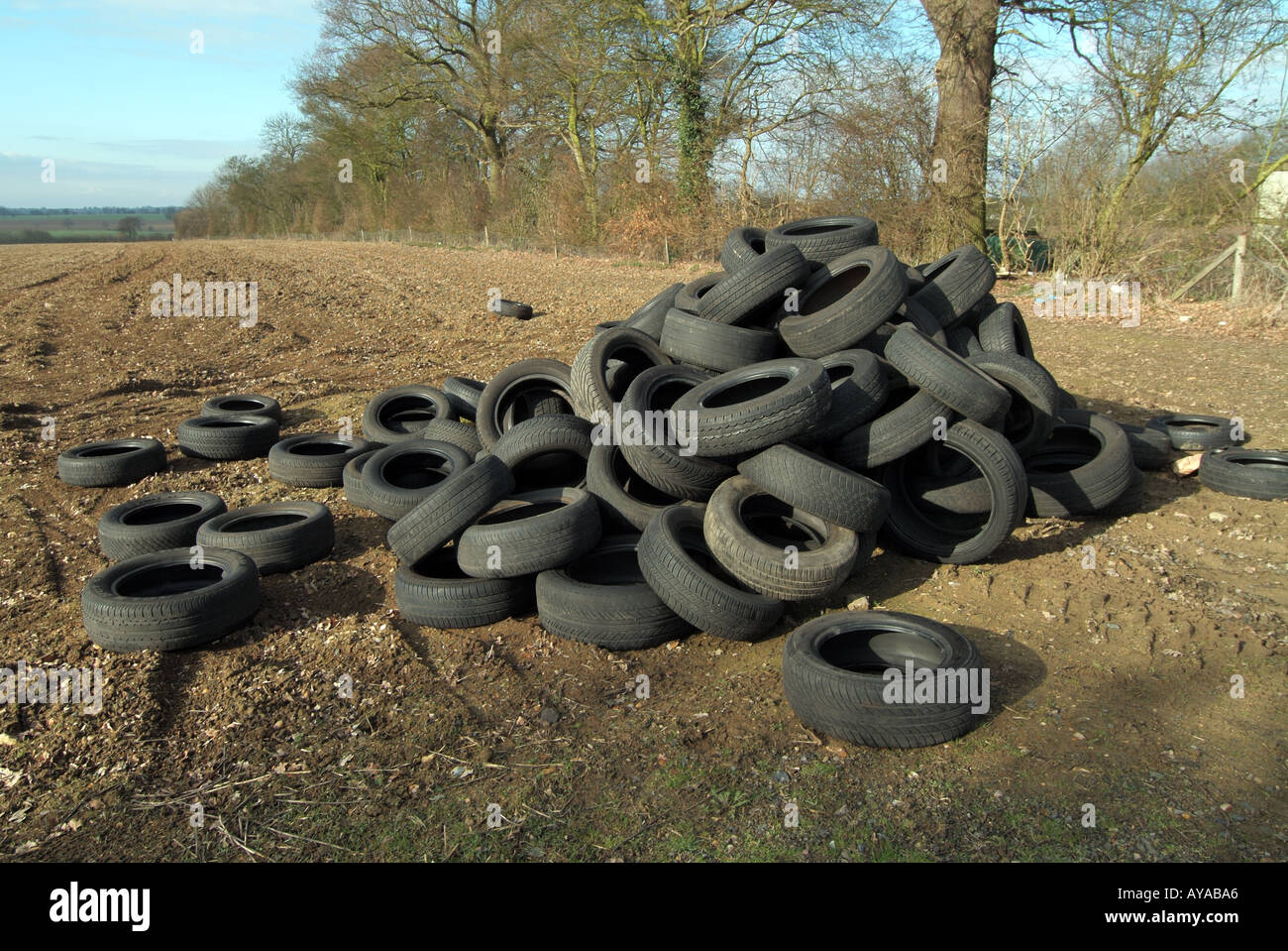 Basculement illégal des pneus de véhicules sous-évalués dans le champ agricole pour éviter de payer les frais d'élimination de la mouche gros problème dans la campagne Essex Engalnd Royaume-Uni Banque D'Images