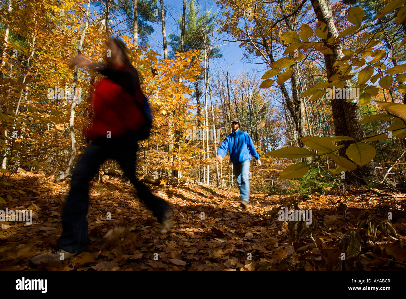 Quelques randonnées sur une vieille route près de la forêt et le lac Winnipesauke Page Brook à Meredith, New Hampshire. Banque D'Images