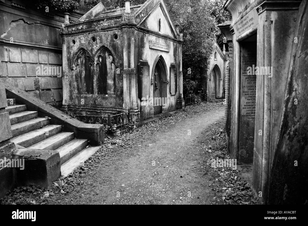 Le Cimetière de Highgate à Londres, Royaume-Uni Banque D'Images