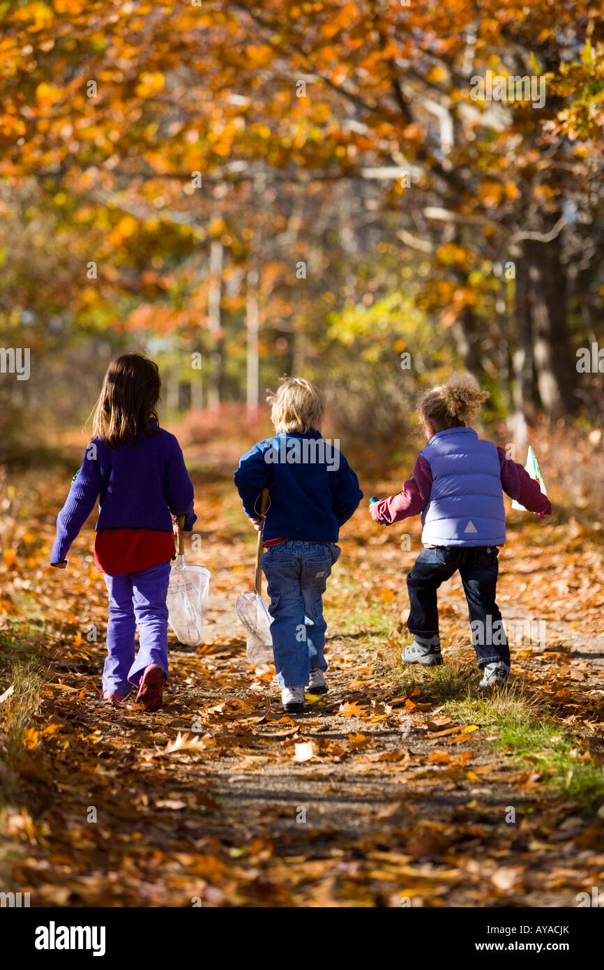 Trois jeunes enfants(l'âge de 4 et 6) sur un sentier forestier à Biddeford, Maine. Banque D'Images