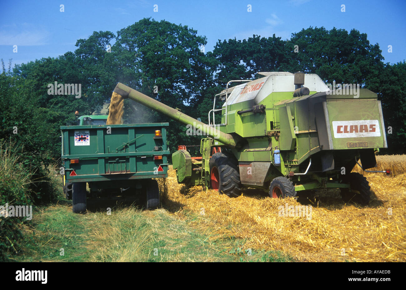 La récolte de blé de machines agricoles Brecon Beacons Powys Pays de Galles UK JD Banque D'Images