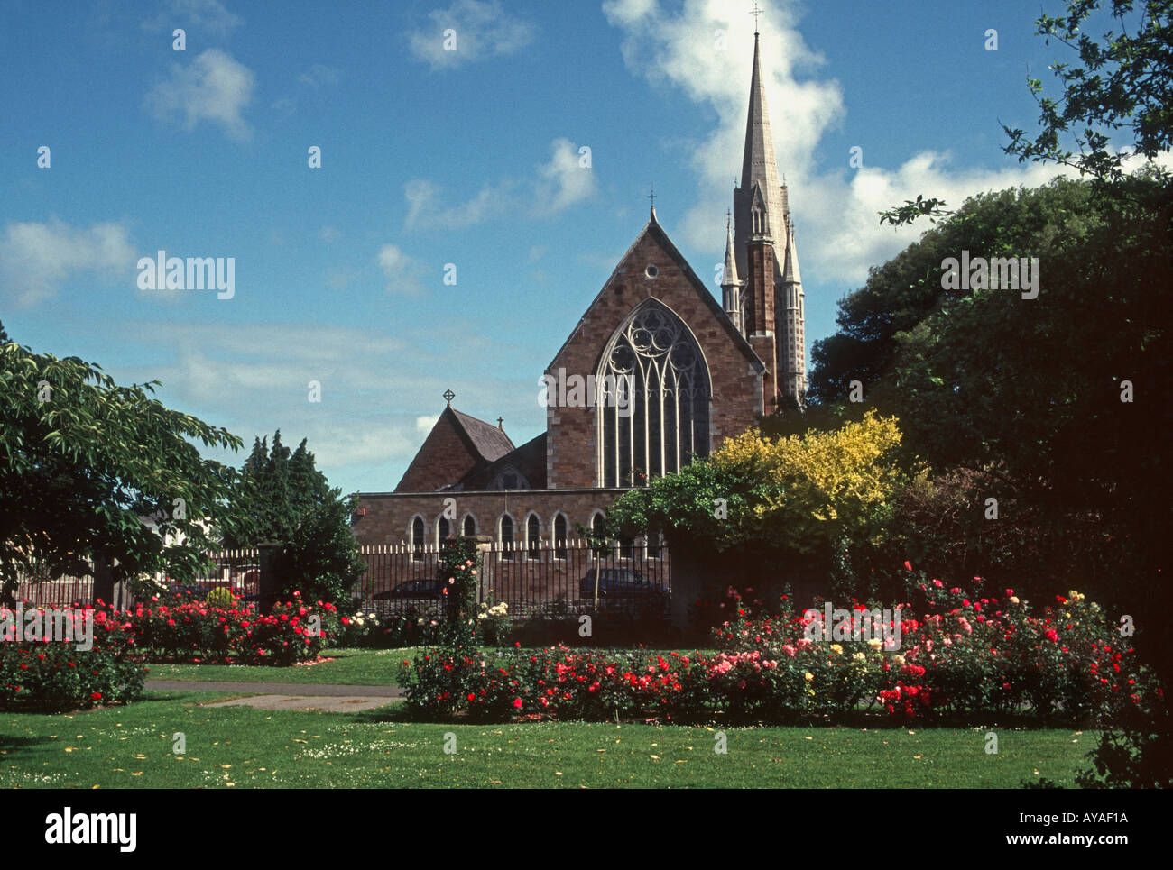 L'arrière de l'église catholique St Johns avec des roses en premier plan Tralee Irlande Banque D'Images