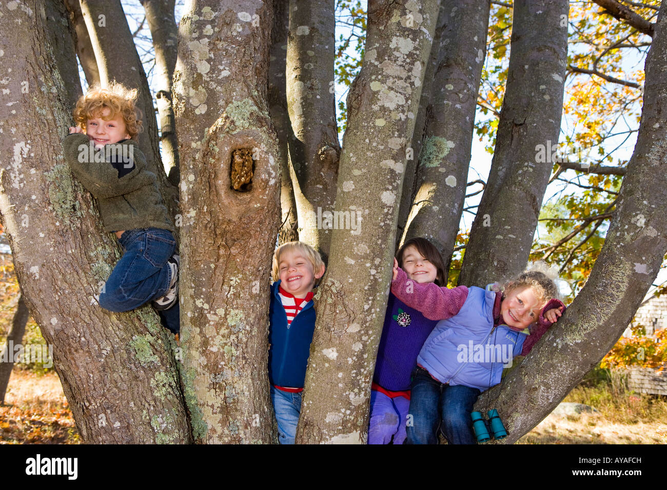 Enfants Grimper Aux Arbres Banque D'image Et Photos - Alamy