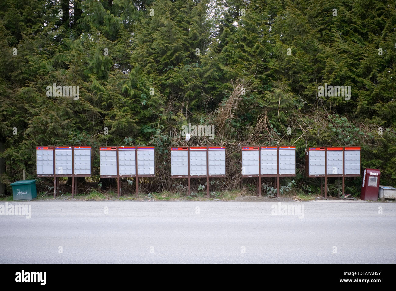 Une ligne de Postes Canada super boîtes aux lettres sur une route rurale Abbotsford BC Canada Banque D'Images