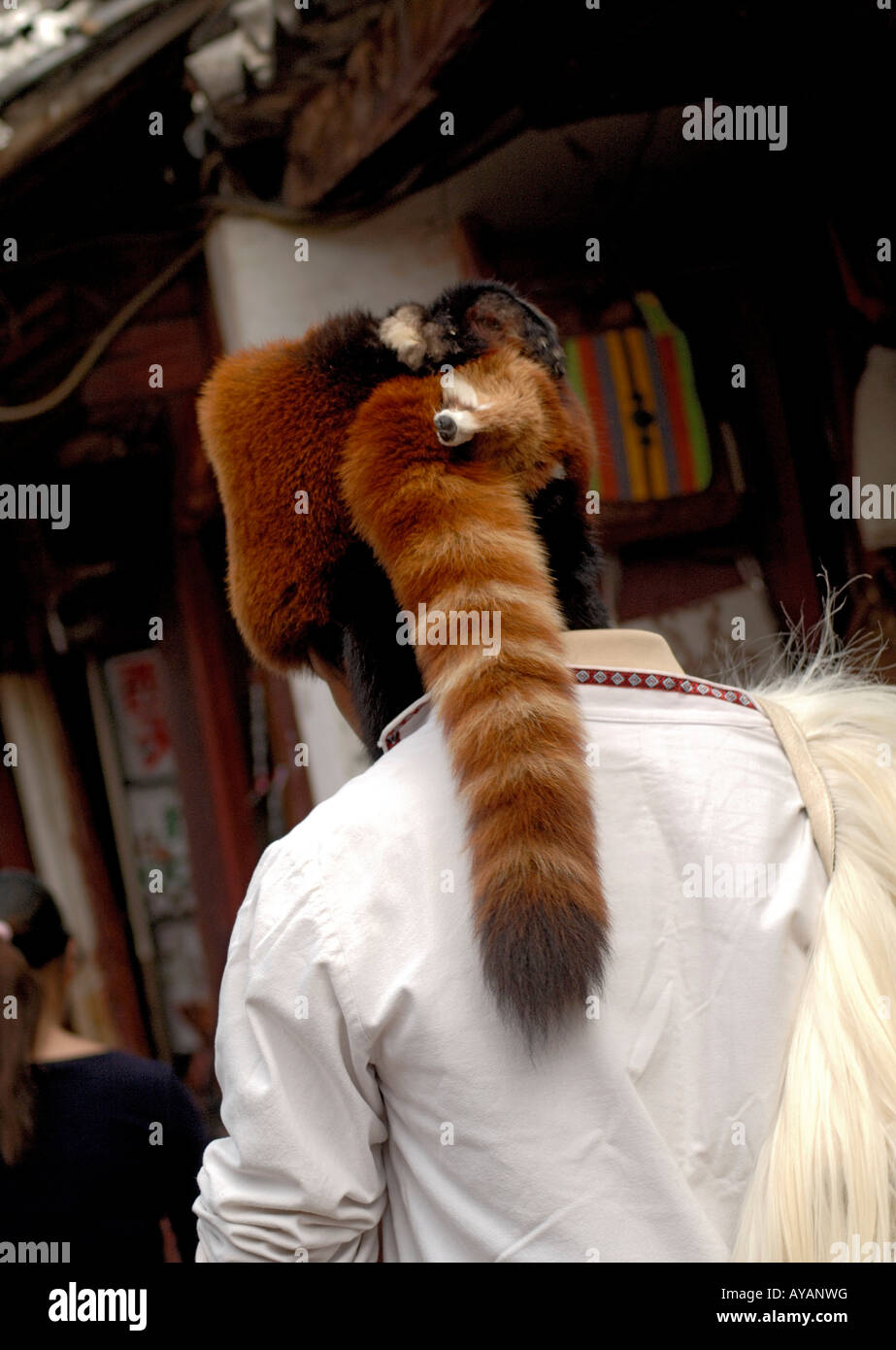Homme portant un chapeau de fourrure de panda rouge dans la région de Lijiang Yunnan Chine pour convaincre les touristes à prendre leur photo porte Banque D'Images