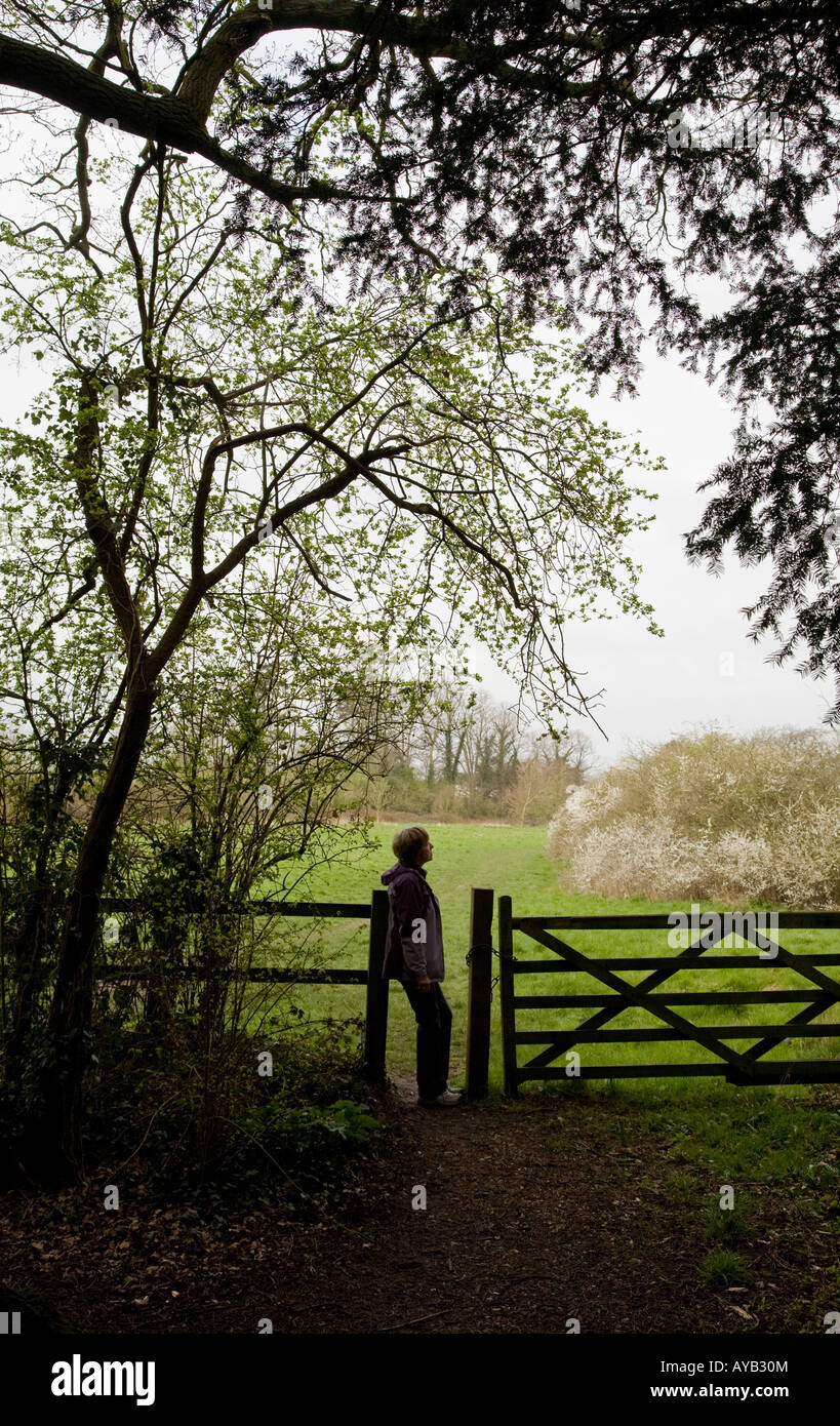 Une femelle walker reposant contre une porte par un sentier de campagne à côté d'un champ près de Denham Buckinghamshire UK village Banque D'Images