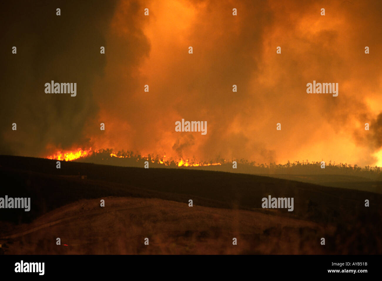 Incendies dans l'Algarve Portugal Banque D'Images